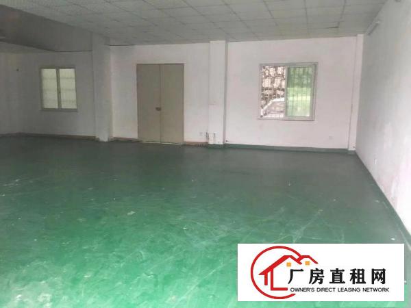 
		龙华鹊山路口新出一楼180平标准厂房带装修出租
	