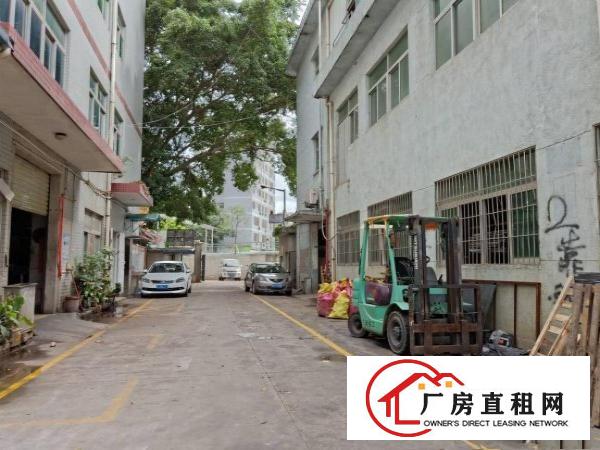 
		龙华清湖新出一楼标准厂房720平方出租
	