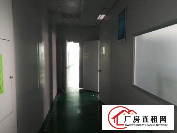 
		龙华广场附近新出950平厂房
	