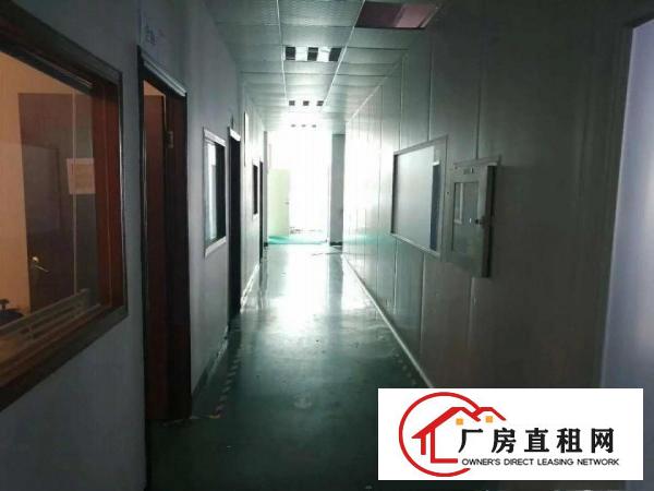 
		龙华广场附近新出950平厂房
	