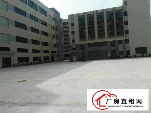 
		清湖地铁站新出电商，办公，写字楼3000平招租
	