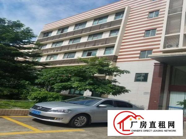 
		龙华大浪新出2000平豪华装修厂房
	