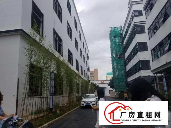 
		龙华观澜新出独栋厂房51000平
	