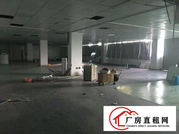 
		龙华汽车站附近新出精装修厂房1250平
	
