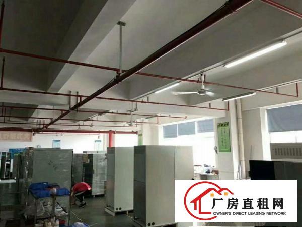 
		龙华天汇大厦附近新出1052平精装修厂房
	
