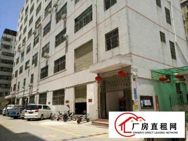 
		大浪河背工业区420平米厂房业主直租
	