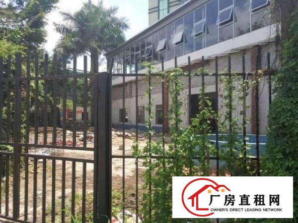 
		龙华小独院实用面积500平会所茶庄客家菜等等
	