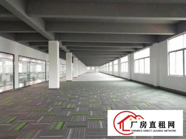 
		民治油松工业区460，620，1800平带装修厂房
	