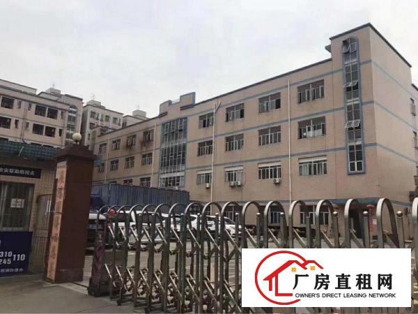 
		龙华原房东带红本独院7200平，租期5年
	