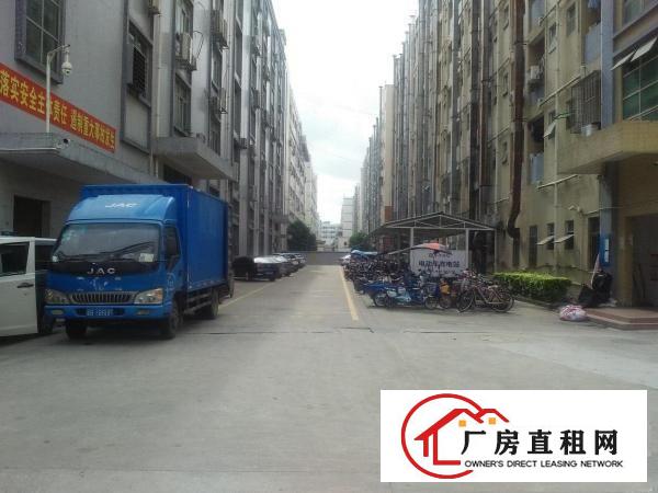 
		华宁路一楼2300装修直租
	
