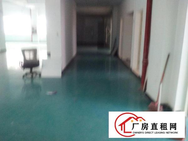
		华宁路一楼2300装修直租
	