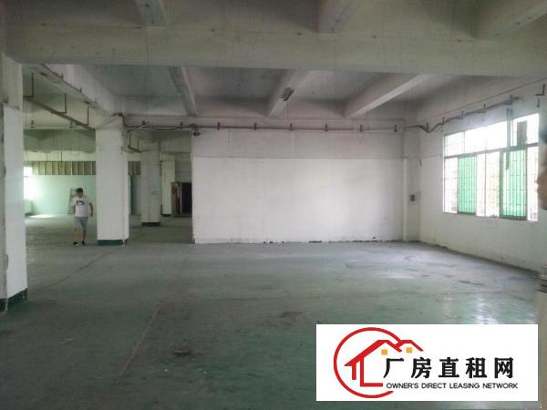 
		龙华龙观大道旁950平出租
	