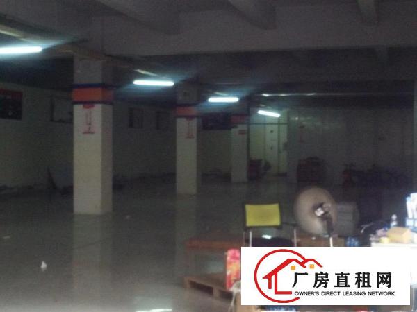 
		龙华龙观大道旁950平出租
	