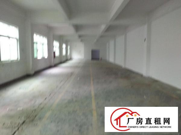 
		下早工业区18O，500，65O至1800平出租
	