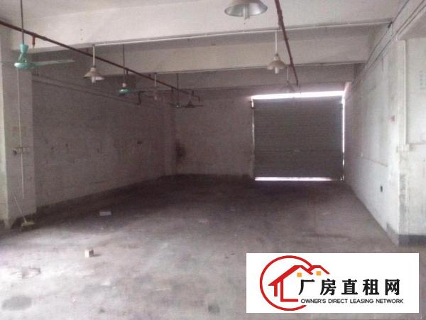 
		老围工业区350平直租
	