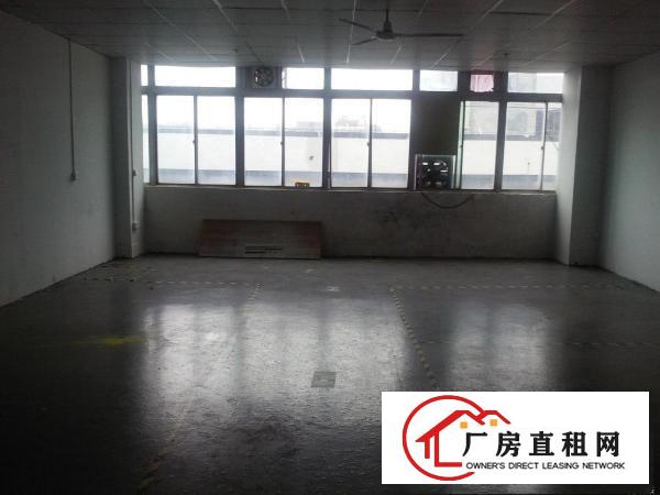 
		老围工业区350平直租
	