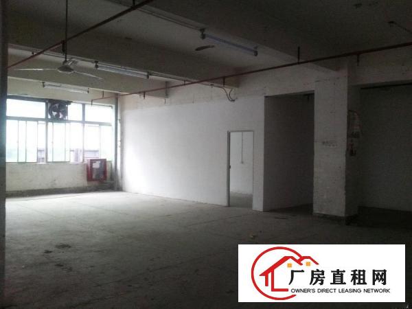 
		老围工业区350平直租
	