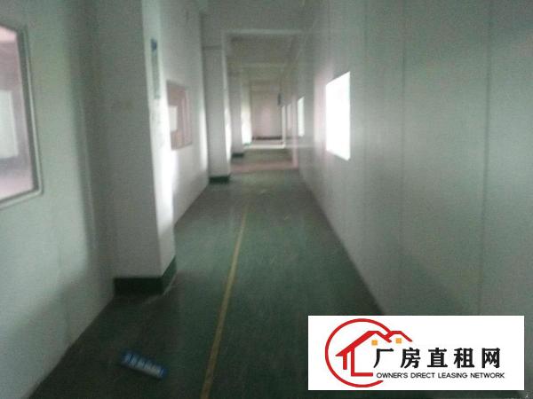 
		龙华汽车站1400平厂房招租
	