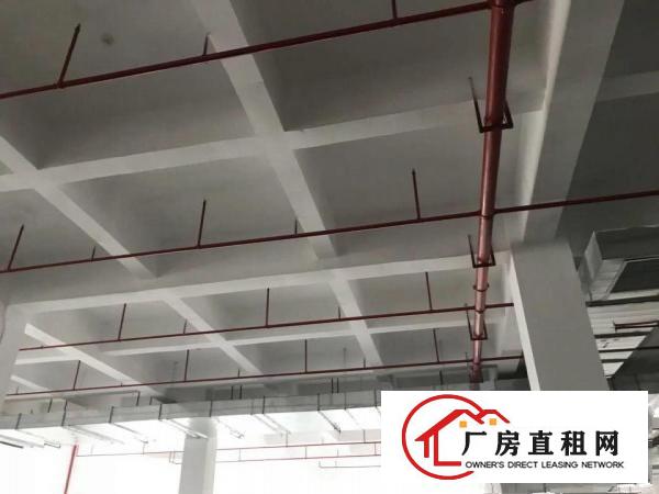 
		上市公司云集是科研创新医疗智能制造机器人等6万平米
	