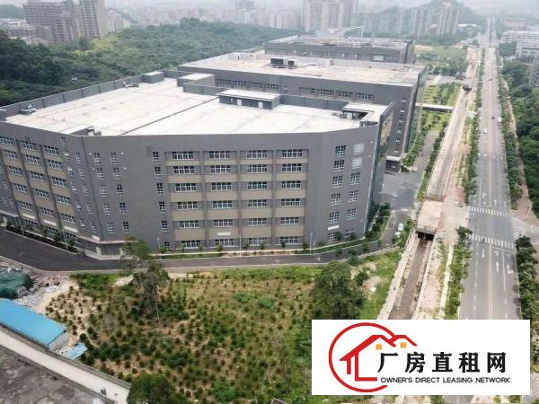 
		上市公司云集是科研创新医疗智能制造机器人等6万平米
	