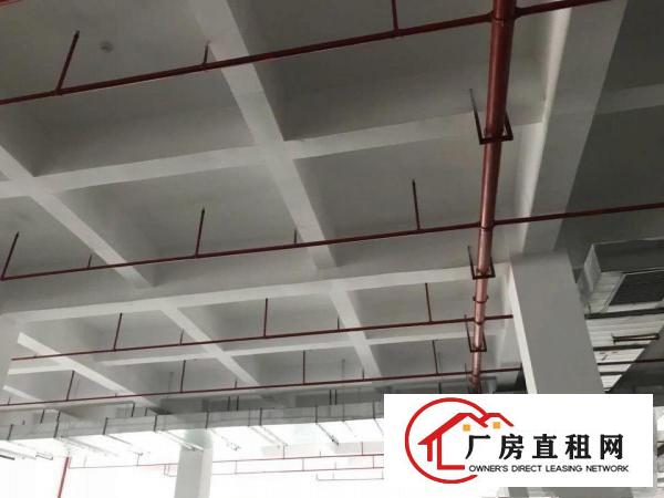 
		上市公司云集是科研创新医疗智能制造机器人等6万平米
	