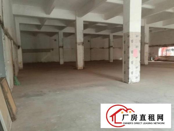 
		清湖地铁口一楼1300平米带装修厂房仓库招租
	