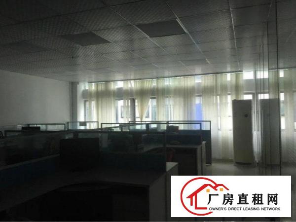 
		龙华老围电商园240方办公室招租，带精装修
	