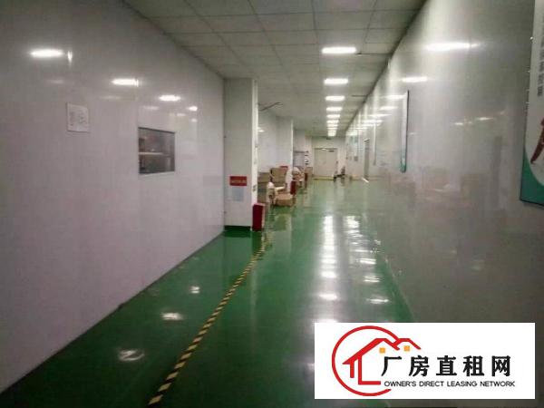 
		公明长圳2600平方独院带装修出租/大小可以分租
	