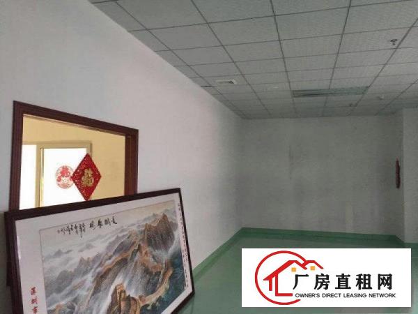 
		公明蒋石（楼上2440平带装修，九成新，可分租）
	