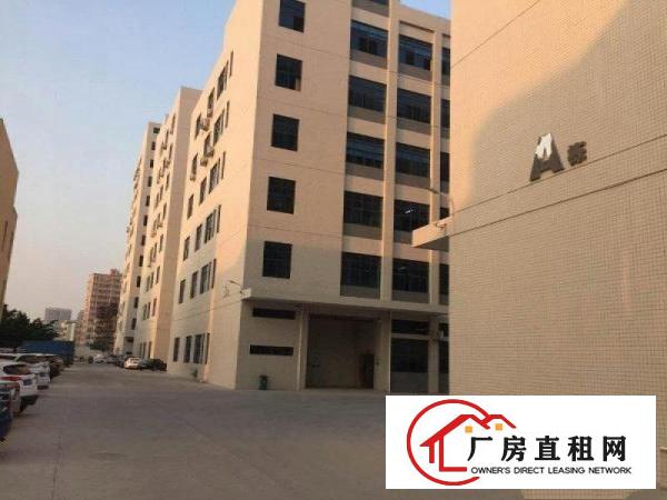 
		公明蒋石（楼上2440平带装修，九成新，可分租）
	