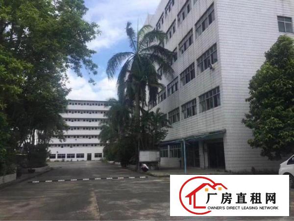 
		公明独门独院形象花园式厂房
	