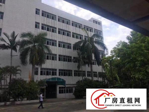 
		公明独门独院形象花园式厂房
	