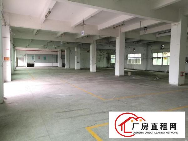 
		光明，公明原房东独院厂房5500平方带装修可分租
	