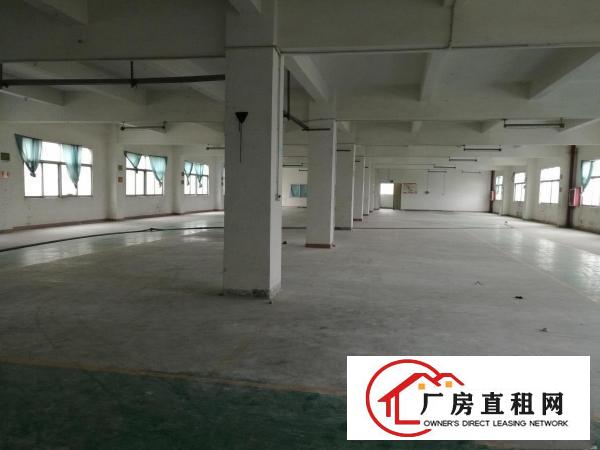 
		光明，公明原房东独院厂房5500平方带装修可分租
	