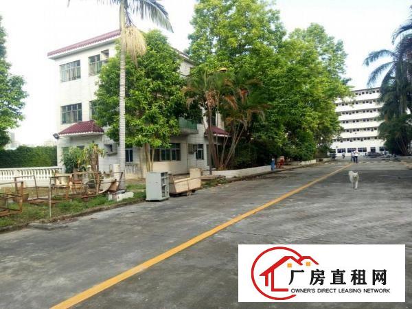 
		公明上村北环大道边原房东带红本独院15000平带办
	