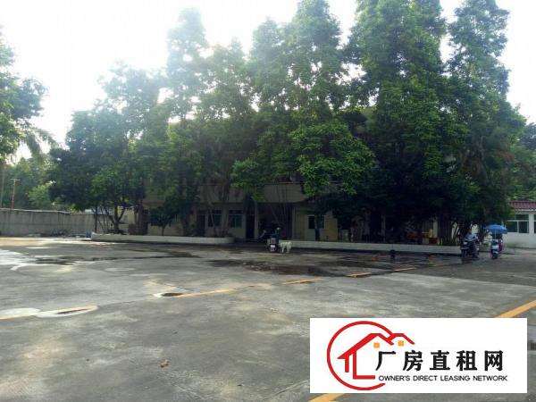 
		公明上村北环大道边原房东带红本独院15000平带办
	