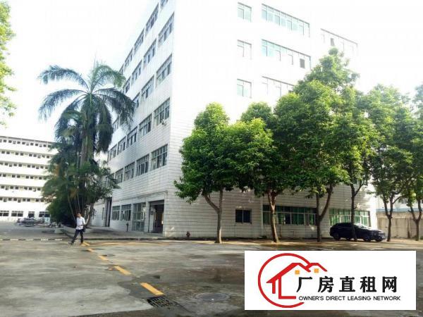 
		公明上村北环大道边原房东带红本独院15000平带办
	