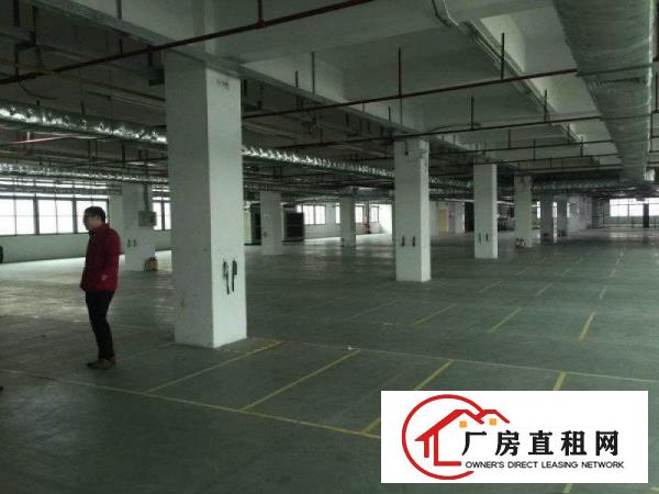 
		公明原房东无公摊3层独院4500平米厂房出租！
	