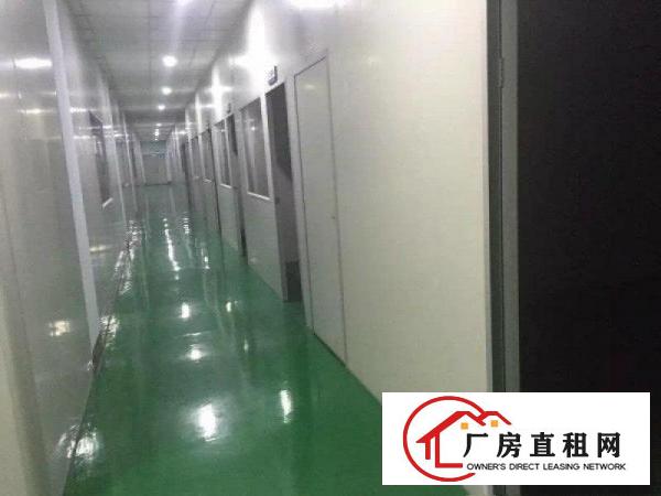 
		公明蒋石（权炬工业园楼上700平带精装厂房出租）
	