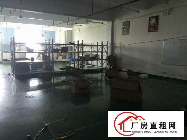 
		公明蒋石（权炬工业园楼上700平带精装厂房出租）
	