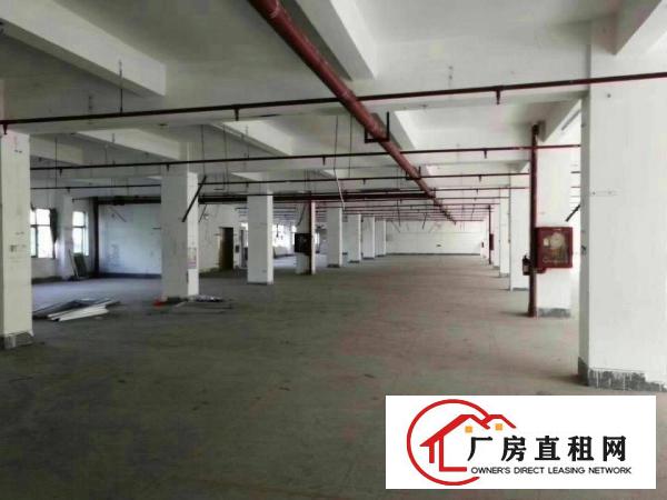 
		公明花园式红本独院厂房约20000平（可分租）
	