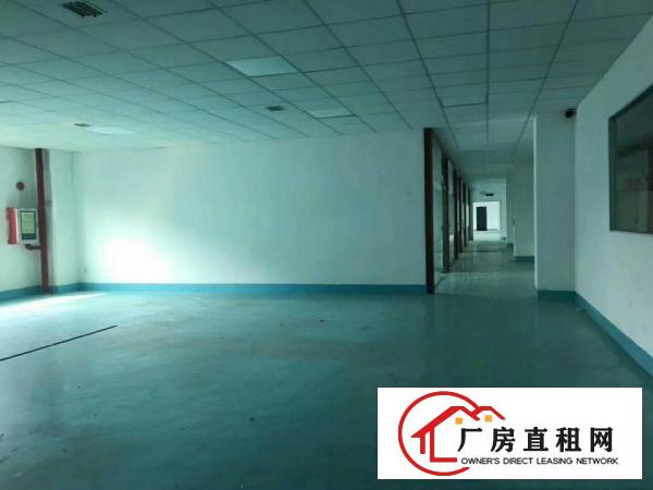 
		公明新出楼上带装修厂房2600平米
	