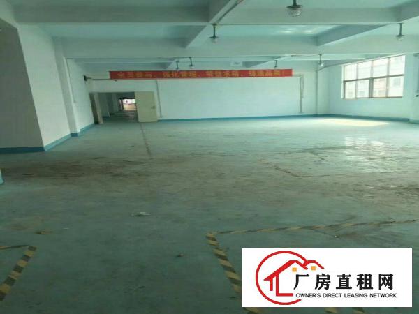
		公明新出楼上带装修厂房2600平米
	