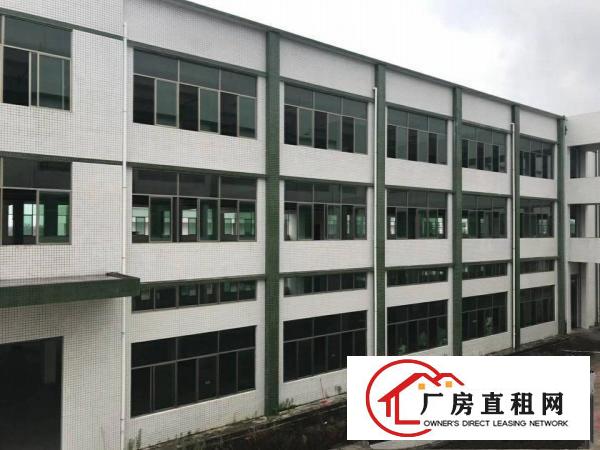 
		光明新区公明楼村56000平方，共5栋，全新厂房租
	