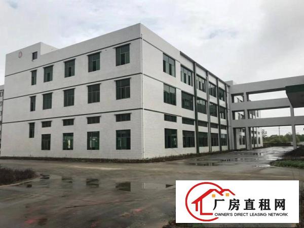
		光明新区公明楼村56000平方，共5栋，全新厂房租
	
