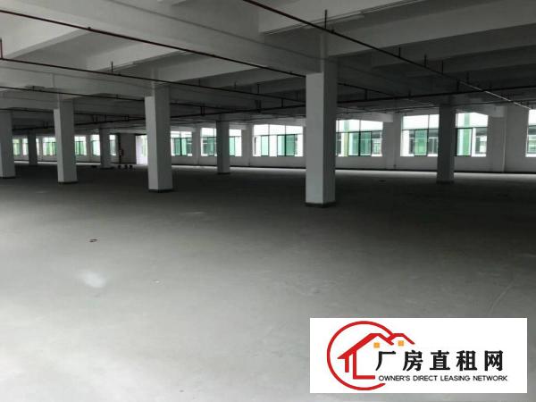 
		光明新区公明楼村56000平方，共5栋，全新厂房租
	
