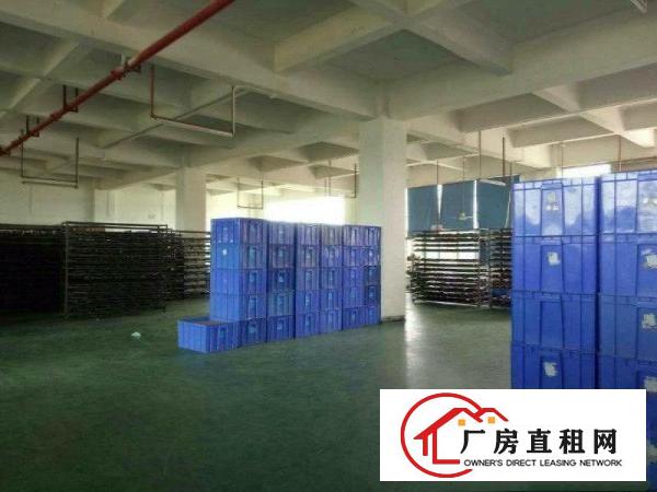 
		公明蒋石（大型园区楼上500平精装厂房出租）
	