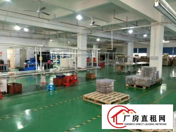 
		公明原业主一楼1000，楼上2000平厂房出租！
	