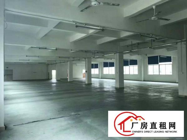 
		公明新出楼上带装修厂房1350不计成本出租
	