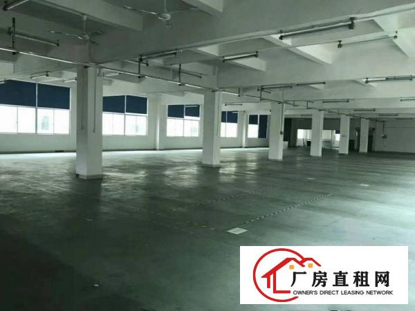 
		公明新出楼上带装修厂房1350不计成本出租
	